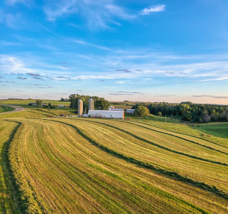 A farmstead with barns and silos under a wide blue sky