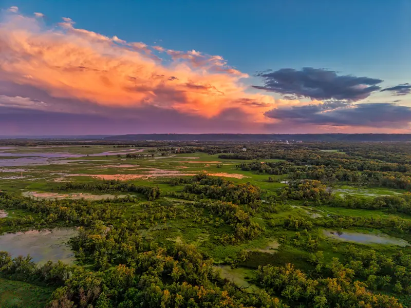 Green farmland at sunset