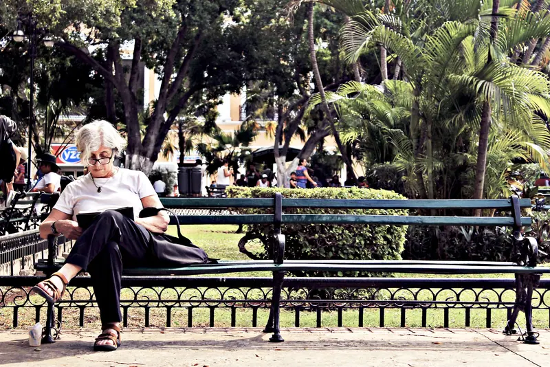 A woman reading on a park bench