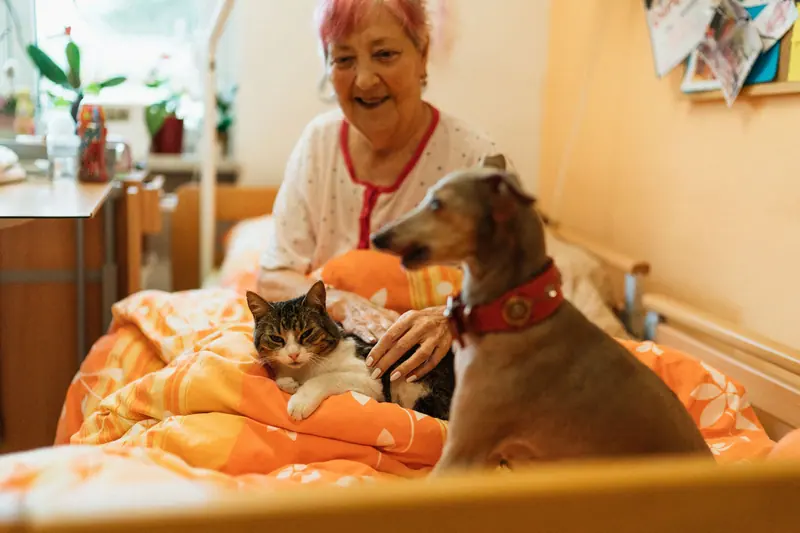 Senior woman enjoying the company of a dog and cat in a cozy bedroom setting, showcasing warmth and companionship.