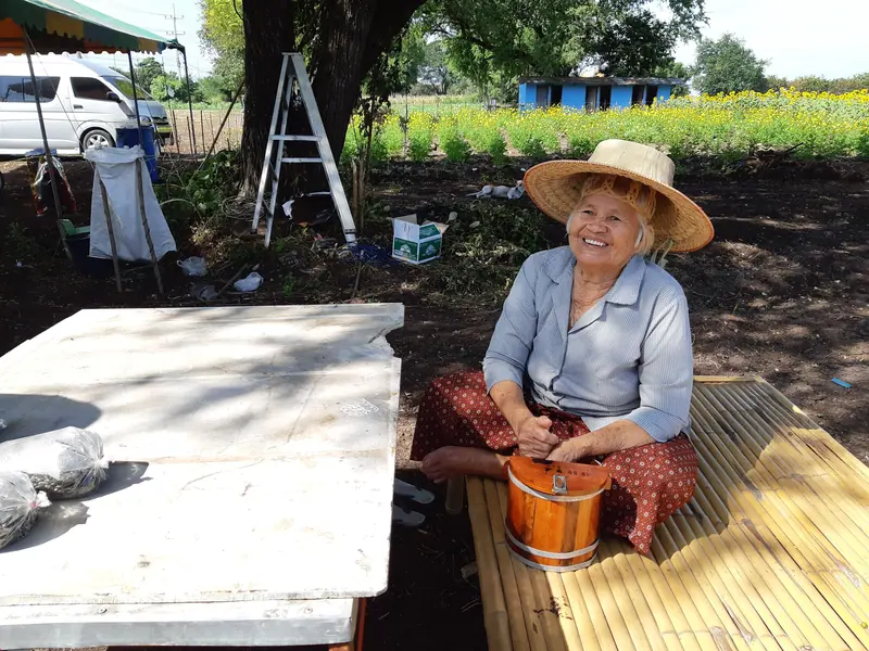A resident shelling peas on the garden bench