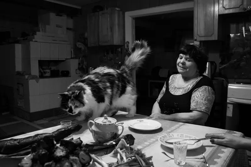 A resident at the kitchen table as the cat helps itself to the counter