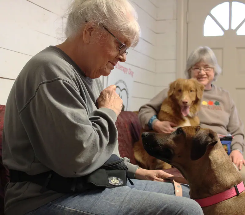 Two residents greeting the visiting therapy dogs on the porch bench