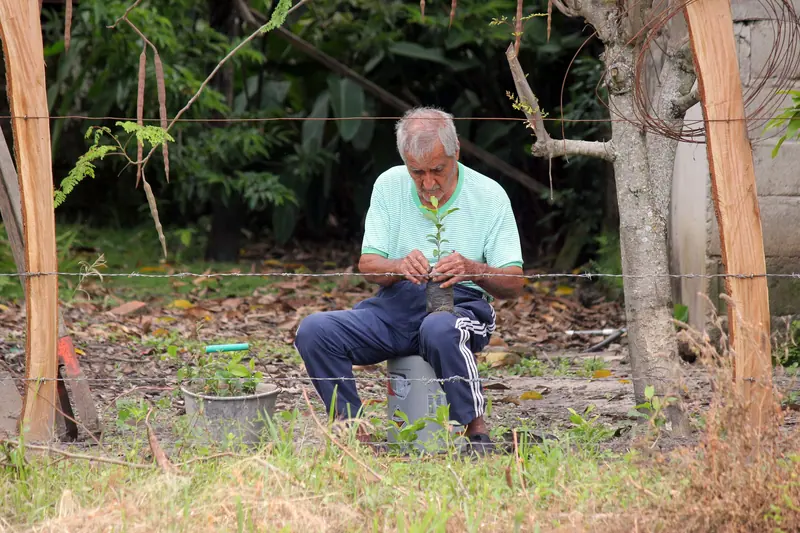 A resident resting on a stool in the courtyard vegetable garden