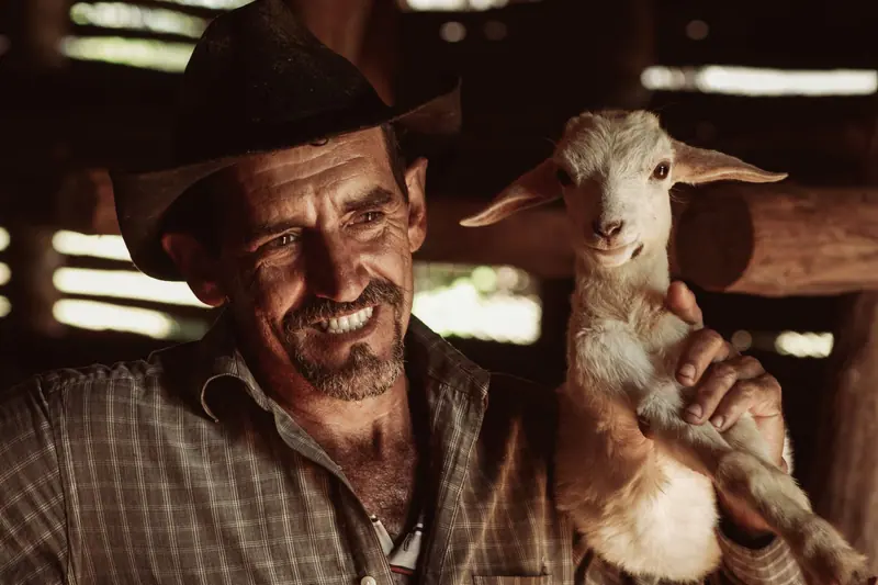 A resident in a cowboy hat holding a baby goat in the barn