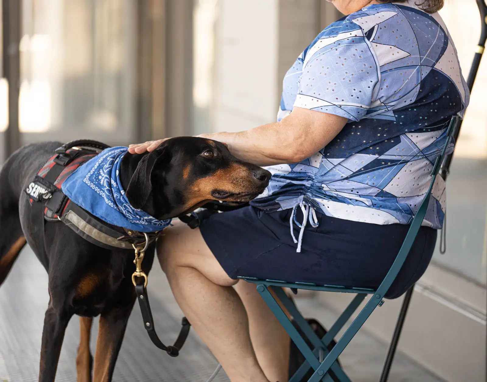 A Doberman resting his head on a resident's lap