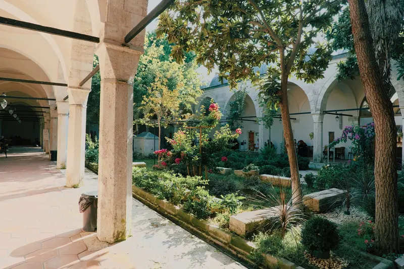 The shaded courtyard garden