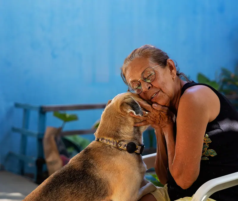 A resident nuzzling a visiting dog on the porch