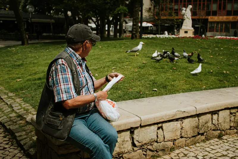 A resident feeding the birds from a stone bench