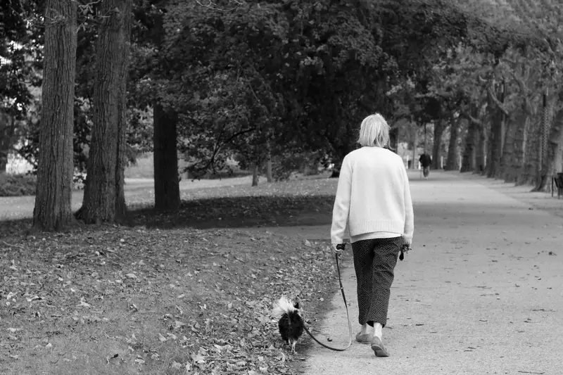 A resident walking her small dog down the tree-lined path