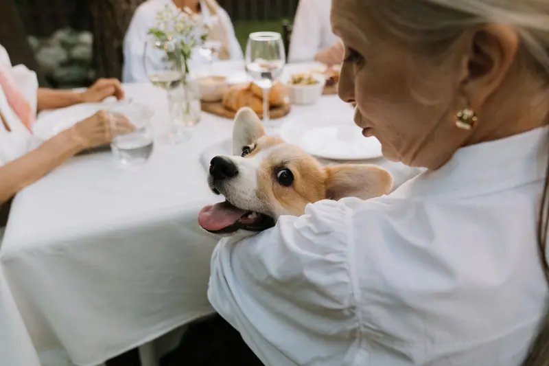 A resident hugging a corgi at the dinner table