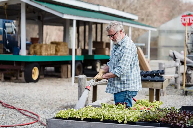 A resident watering trays of seedlings by the shed