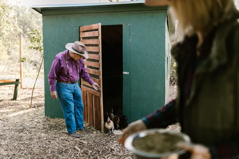 A resident in a sun hat opening the henhouse door