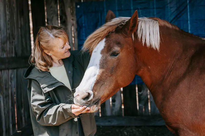 A visitor offering a treat to a pony at the stable door