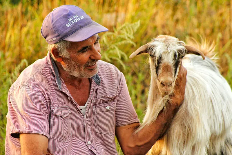A resident in a cap laughing with a white goat