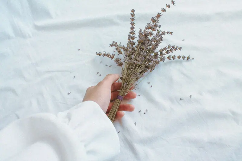 A bundle of dried lavender on white linen
