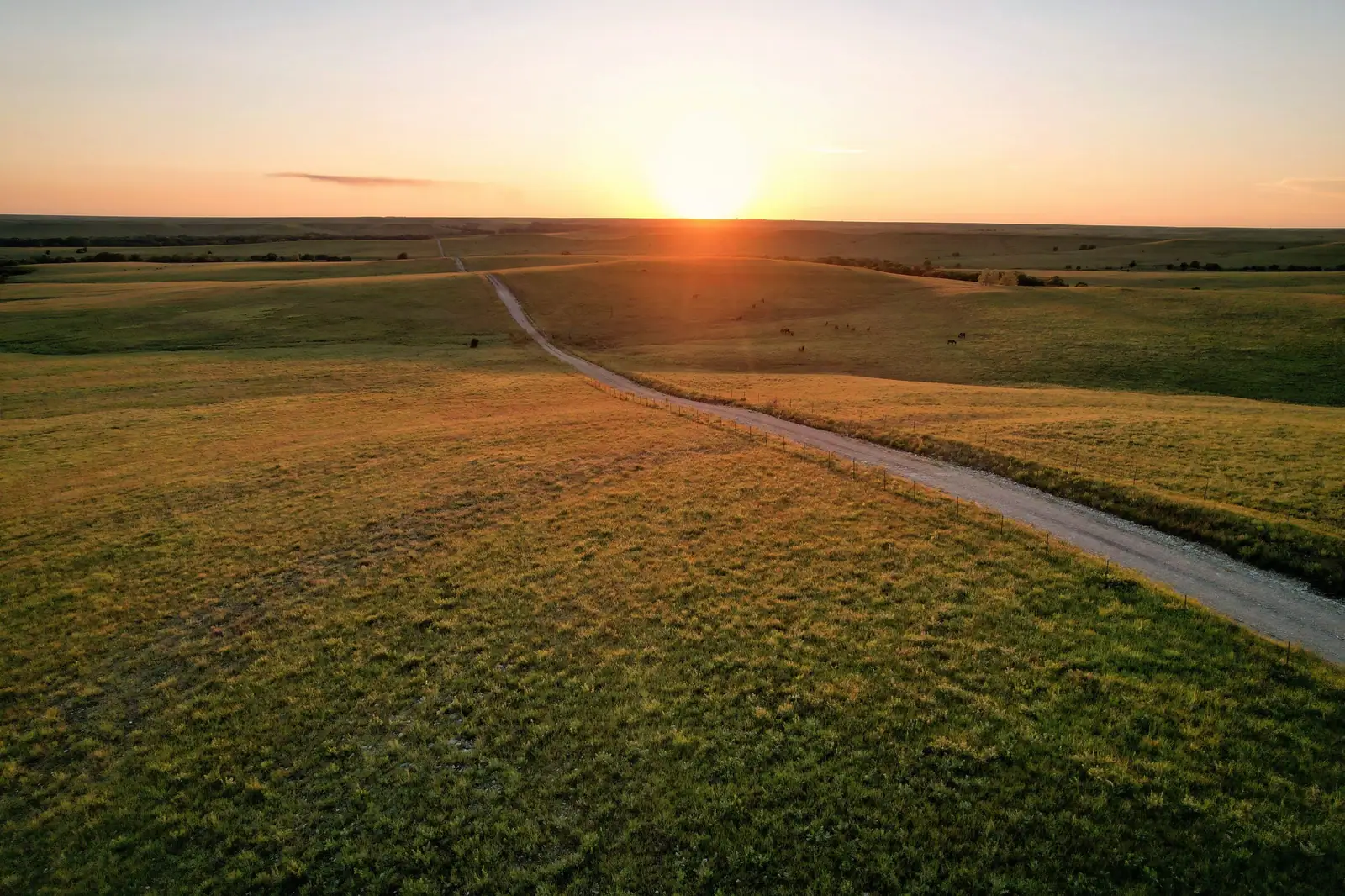 Sunset over the grassland and a winding gravel road