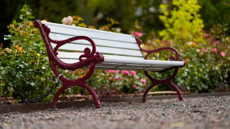 A white garden bench among the flower beds