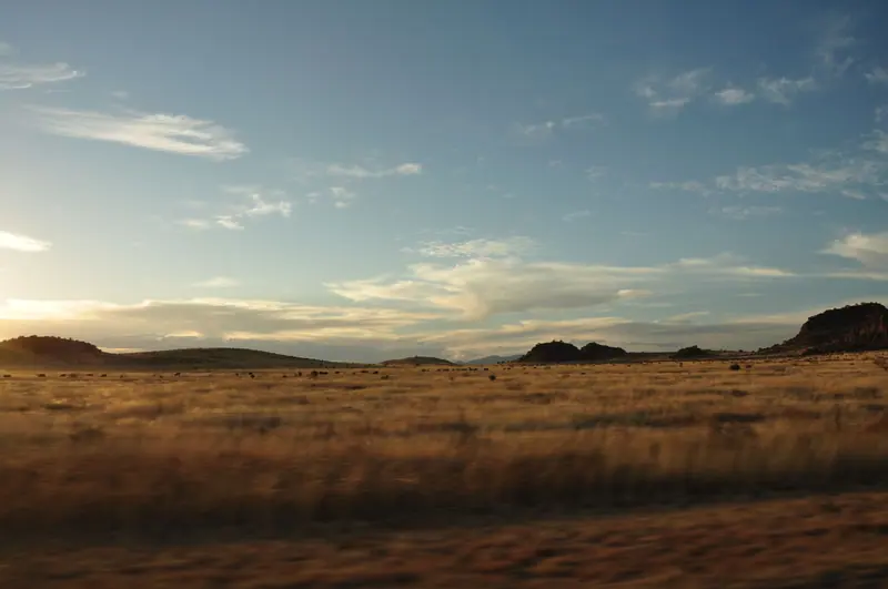 Open grassland glowing gold at sunset