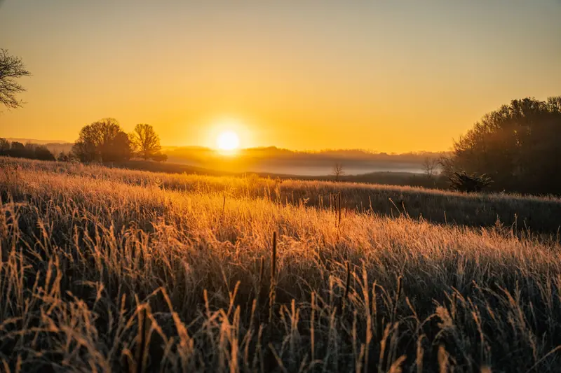 The sun going down over a Kansas wheat field at harvest