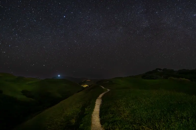 A starry sky above a winding path