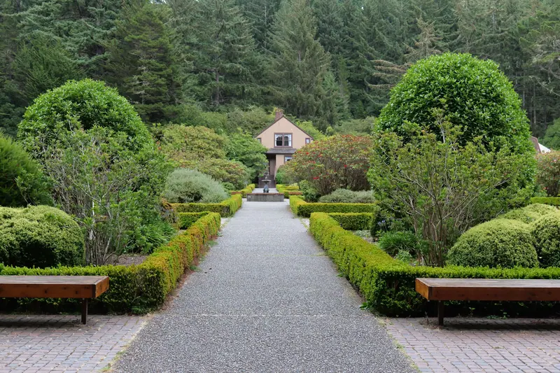 The clipped hedge walk between the Commons and the cottages
