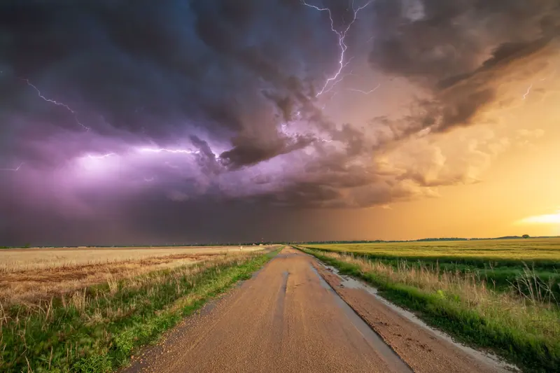 A spring storm and lightning over a wheat field and a dirt road