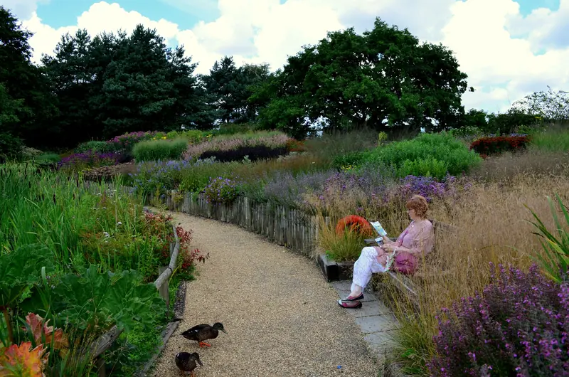 A resident reading on a bench beside the prairie garden