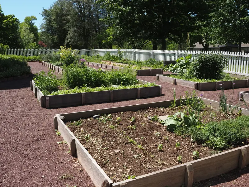 Raised garden beds ready for planting