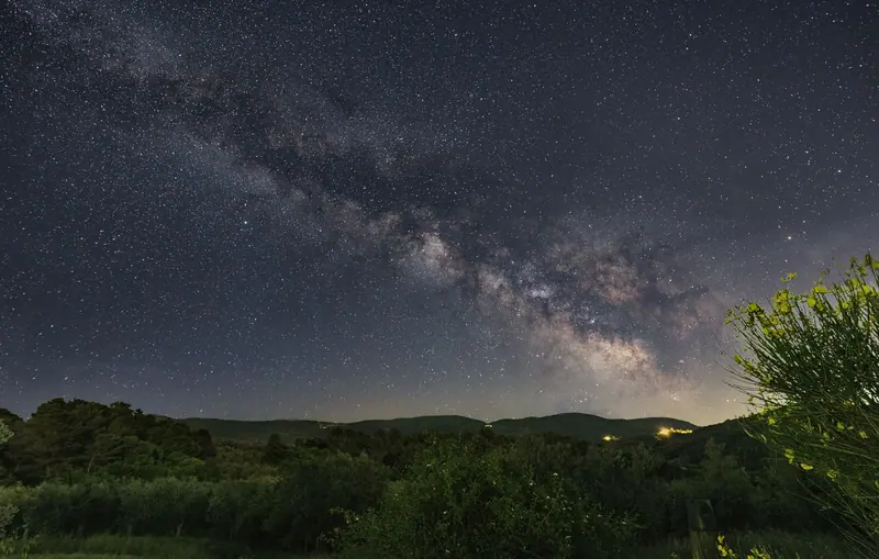 The Milky Way over the trees on a new-moon night