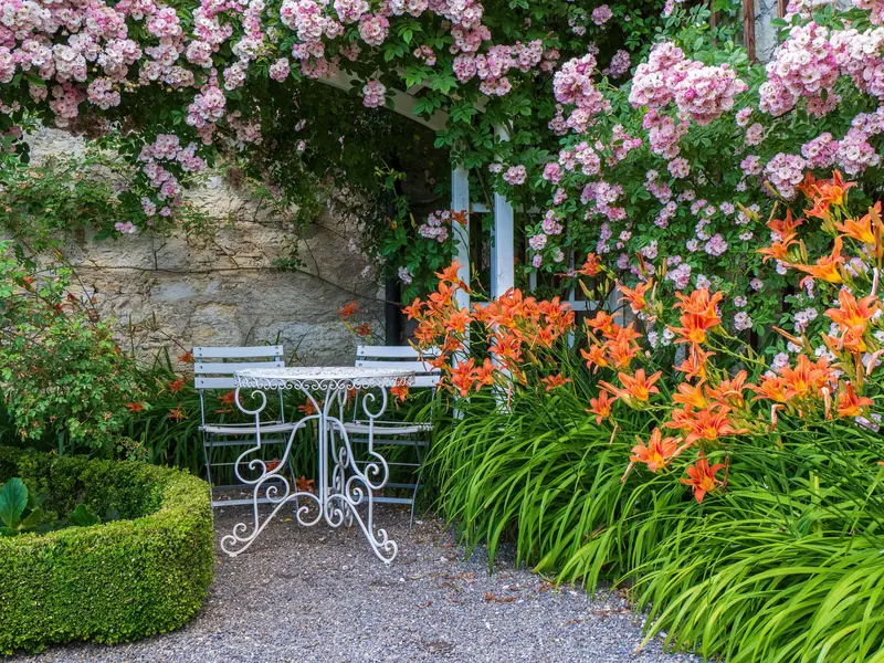 A garden table under the roses and lilies