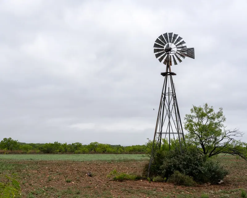 The old windmill at the south fence