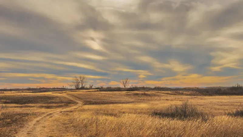 The open prairie at the edge of the property at sunset