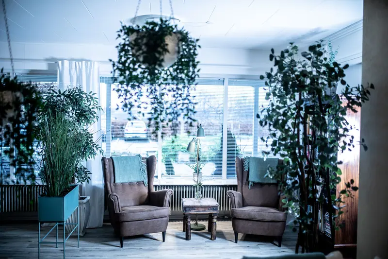 Elegant living room featuring armchairs and lush plants, creating a tranquil indoor setting.