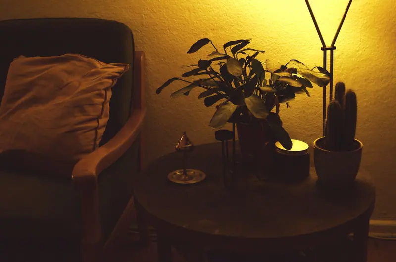 A reading corner with a lamp and houseplants
