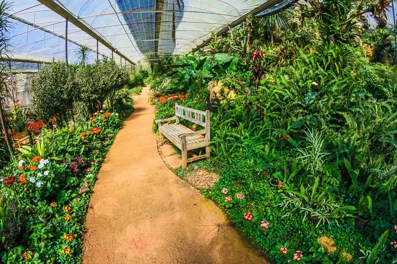 The path through the botanical garden