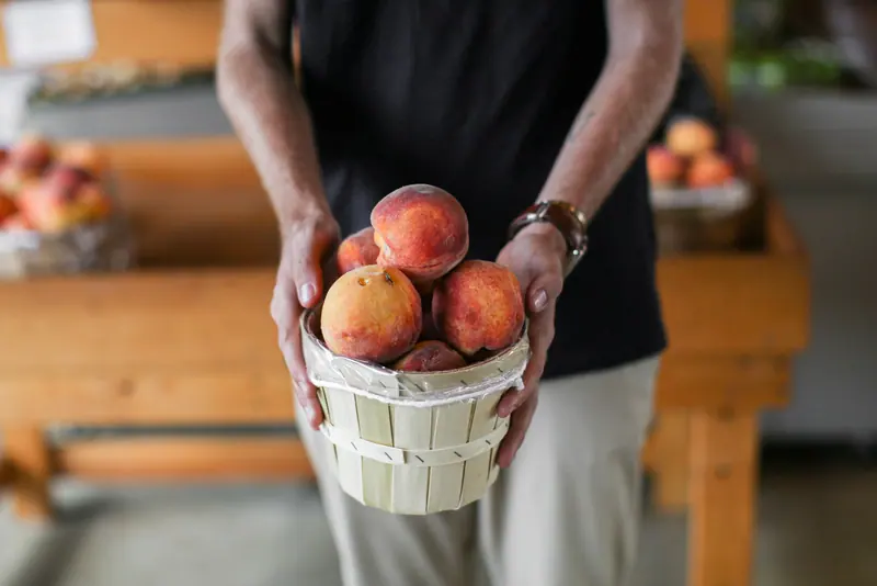 A basket of peaches from the farm stand