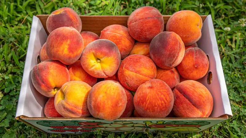 A box of Gillespie County peaches for the cobbler