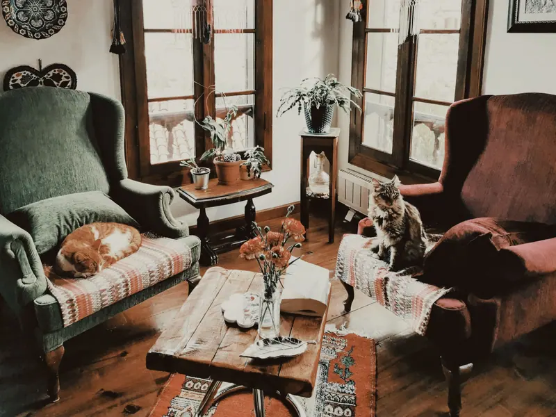 Vintage armchairs in the back sitting room, with the house cats asleep on them