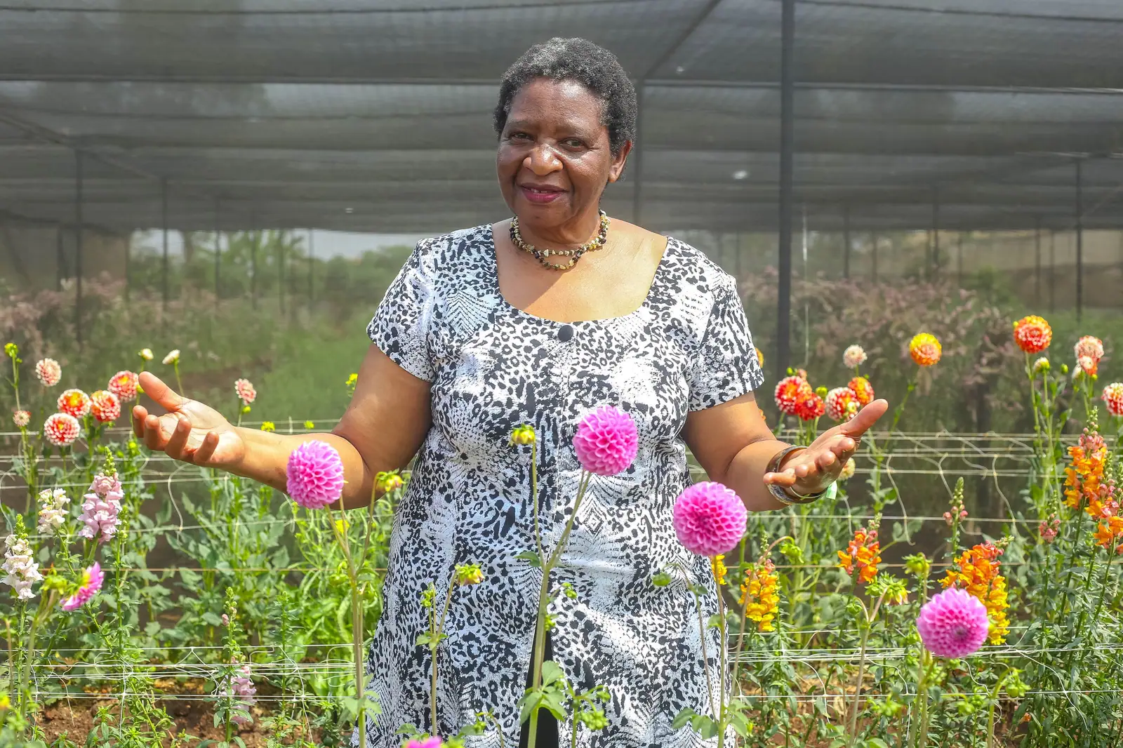 A resident smiling among the dahlias in the cutting garden