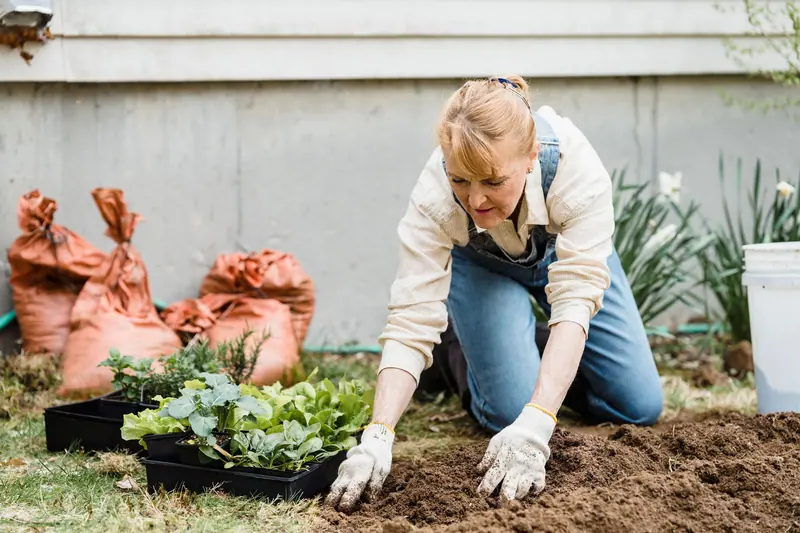 A resident kneeling to set out spring plants