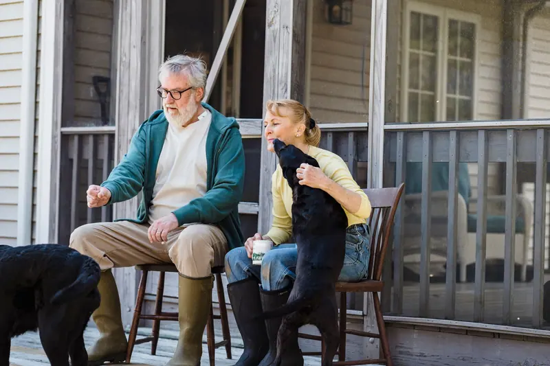 A couple laughing on the porch with the dogs