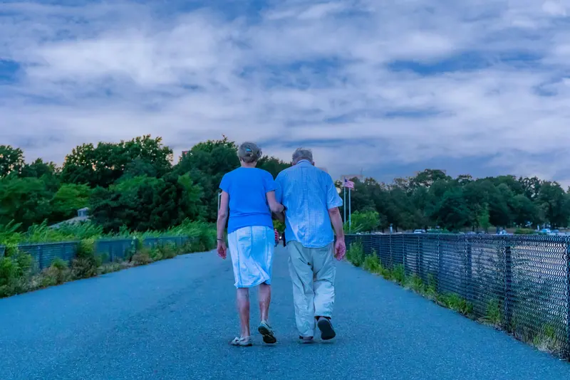 Two friends on their evening walk along the river road