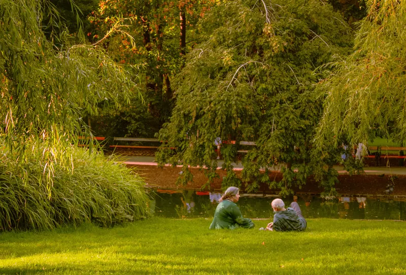 Two neighbors resting on the lawn under the willow trees