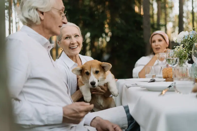 Friends and a corgi at an outdoor dinner table