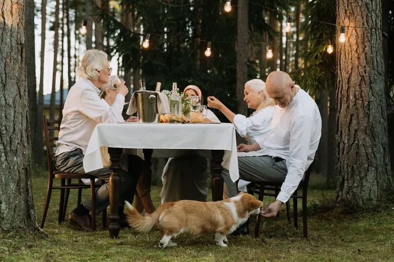 A summer supper under string lights