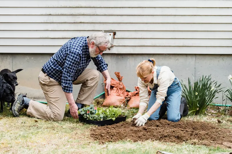 A couple planting a new shrub along the garden path