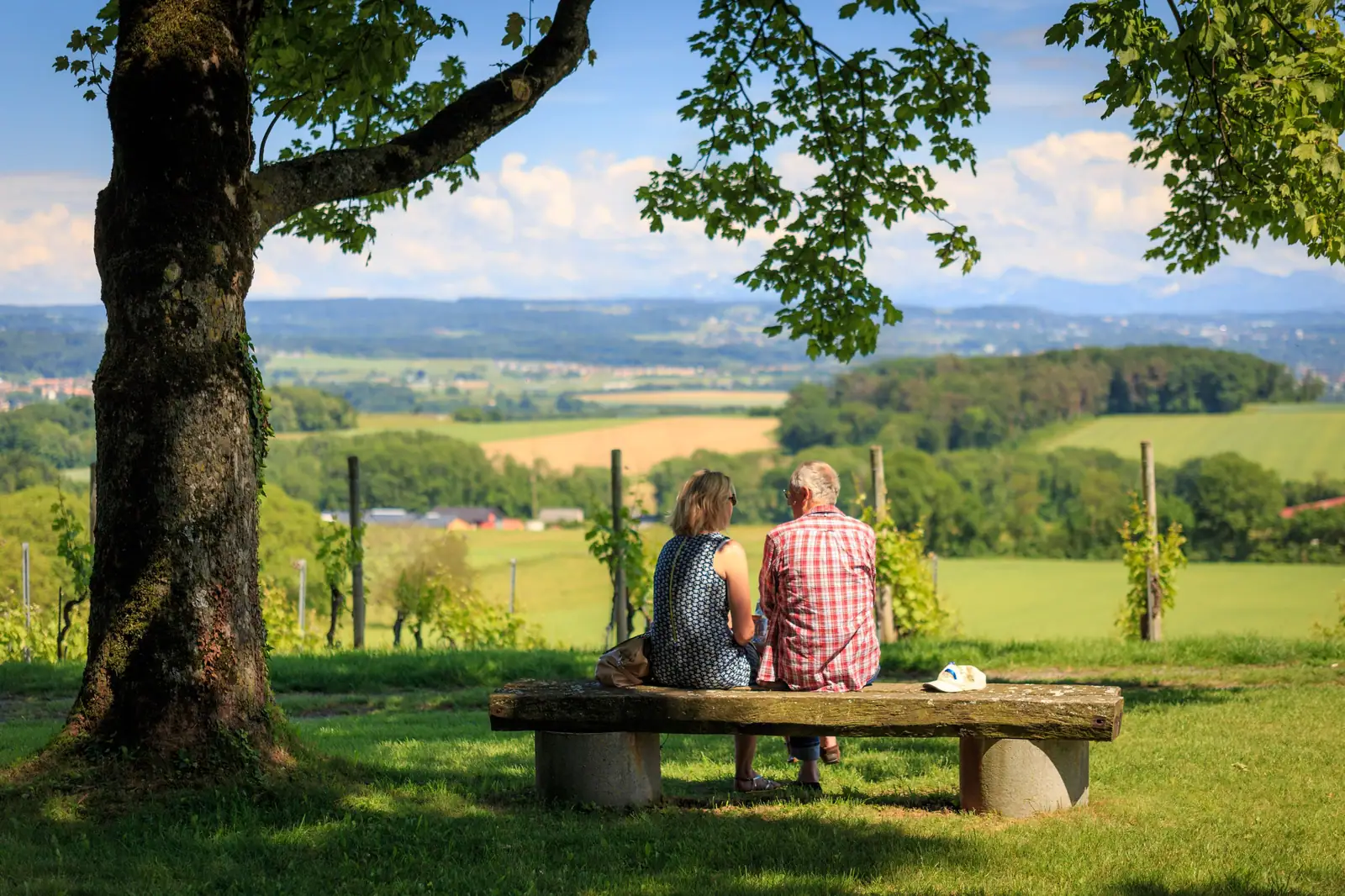A couple sitting on a stone bench under a big shade tree, looking out over green hills